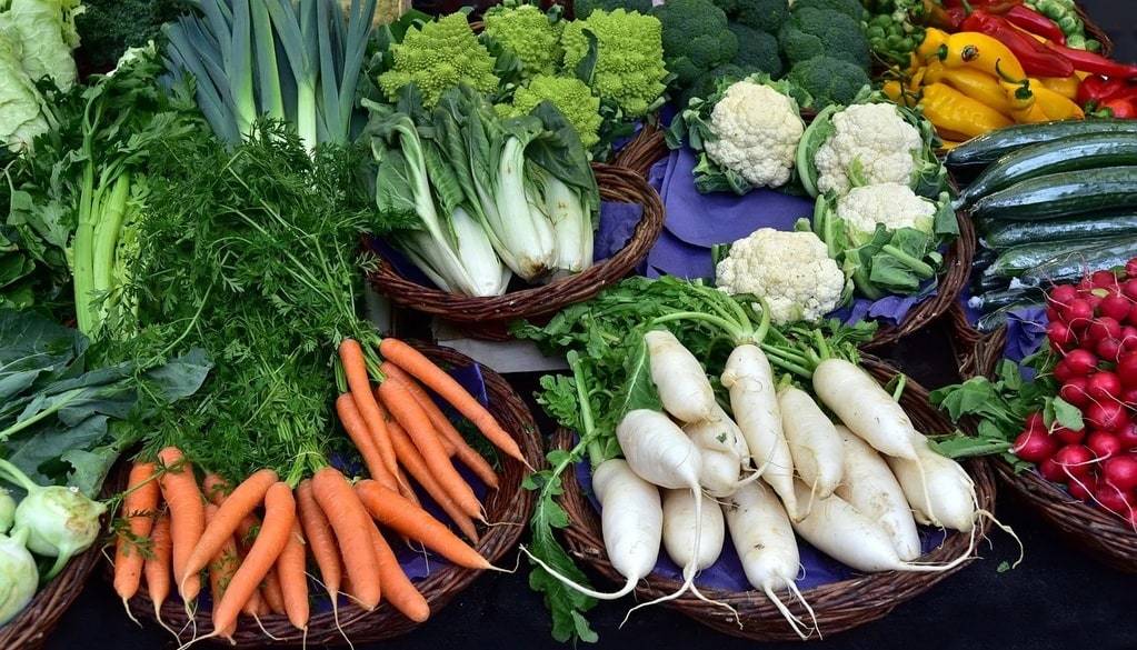 Menu végétalien : des plats sans compromis