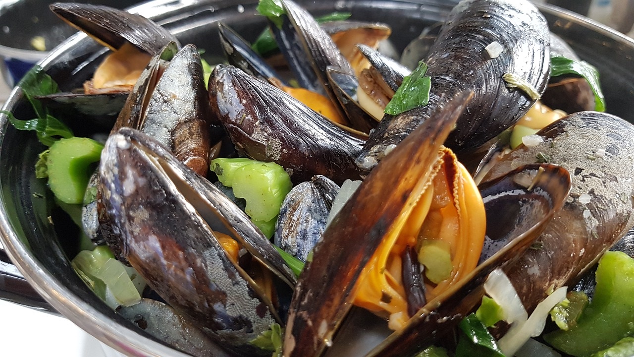 Voyage culinaire : explorez les secrets des moules frites en Hauts-de-France